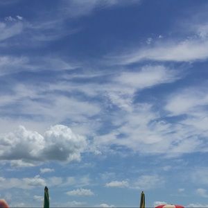 Meet your Posher, Sophia